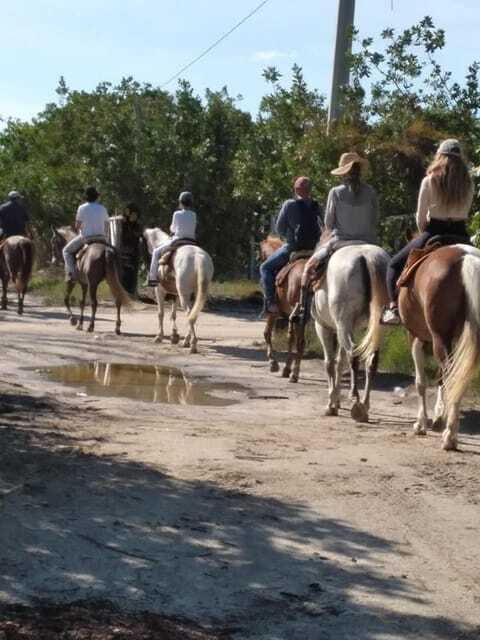 Group horseback ride on Holbox Island, Quintana Roo - Should you book this Holbox horseback ride?