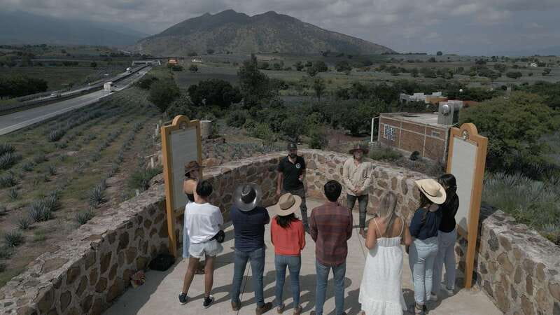 Guadalajara: Premium Tequila Tour with Tastings and Pairings - Meeting Guadalajara on time at Fiesta Americana and rolling out