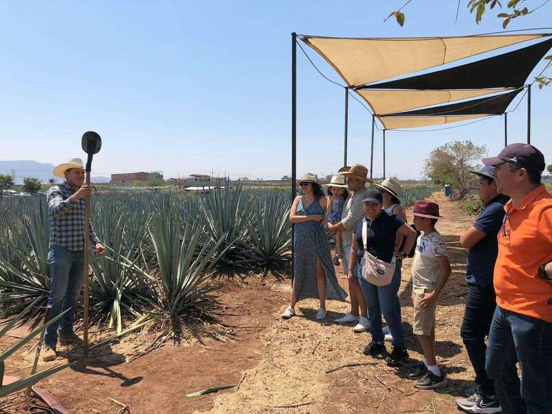 Guadalajara: Premium Tequila Tour with Tastings and Pairings - Ajijic boardwalk and colorful streets, a change of pace