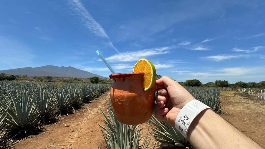 Guadalajara: Tequila Day Trip with Jose Cuervo Option - Key things I’d lock in before you go