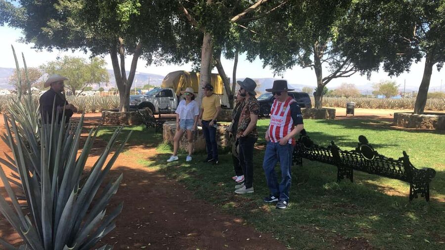 Guadalajara: Tequila Day Trip with Jose Cuervo Option - The drive out of Guadalajara, and how to enjoy agave fields