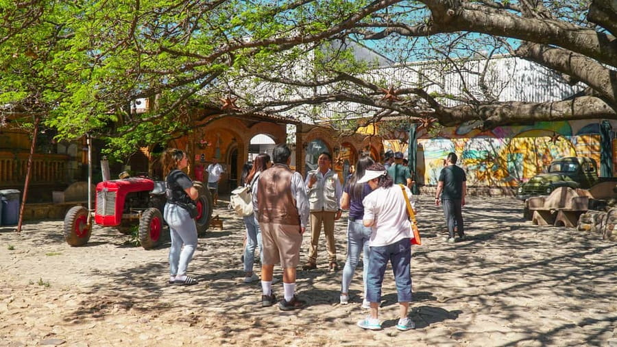 Guadalajara: Tequila Day Trip with Jose Cuervo Option - Group comfort and bilingual guidance, what to expect from the guides