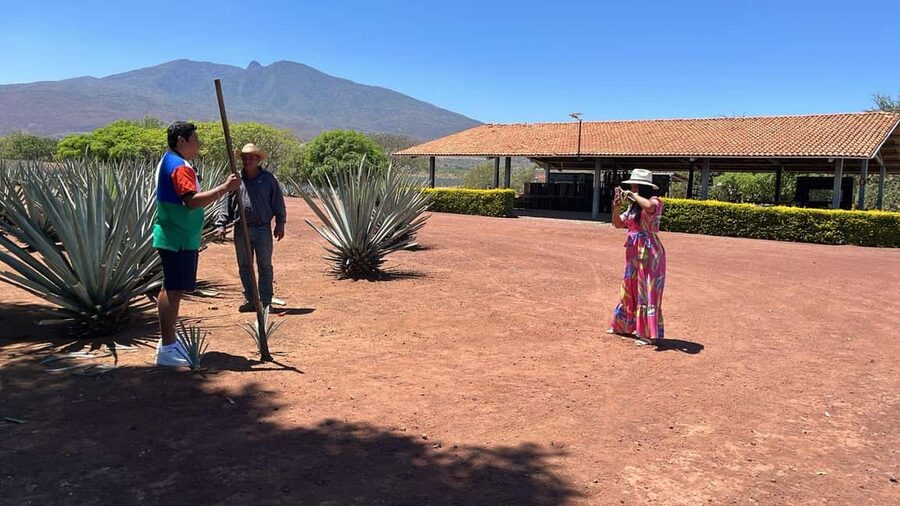 Guadalajara: Tequila Day Trip with Jose Cuervo Option - The distillery tour, from fermentation to modern distillation