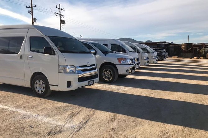Guadalupe Valley Private Driver Tour - Valle de Guadalupe Boutique Hotel Horseback Ride Add-On