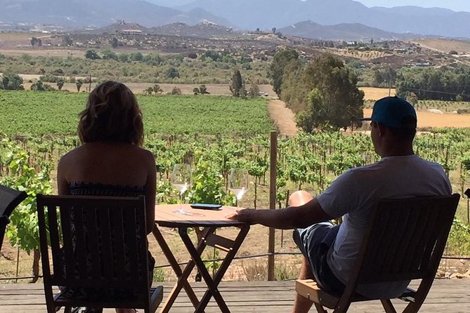 Guadalupe Valley Wine Route Tour in Baja California - Valle de Guadalupe time: vineyards, a winemaker chat, and barrel-world details