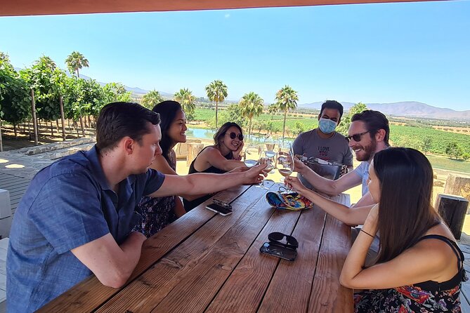 Guadalupe Wine Valley Tour - Private Pickup, English-Friendly, and the Parts That Save Time