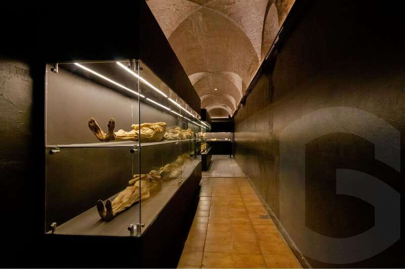 Guanajuato: Mummies, Mines and Tunnels Guided Group Tour - After the tunnels and museums, end at Mercado Hidalgo