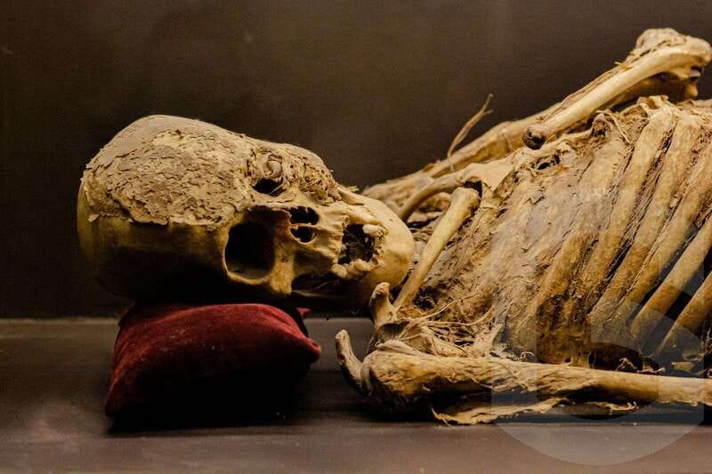 Guanajuato: Mummies, Mines and Tunnels Guided Group Tour - Price and value: what $14 really buys you