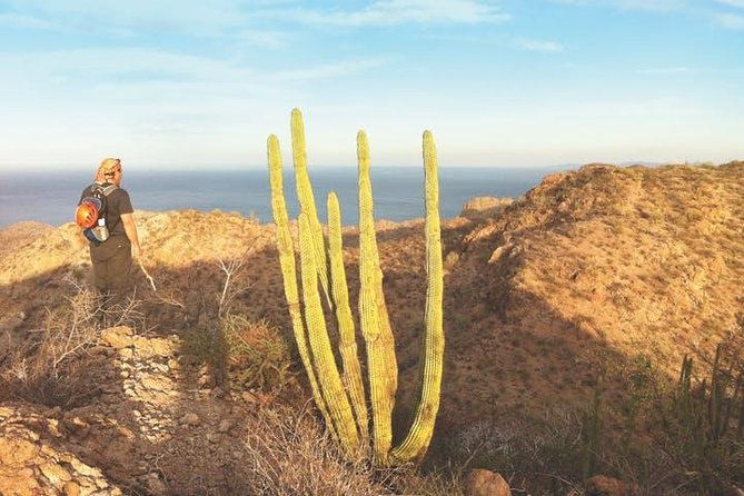 Guided Hike in Tabor Canyon - First Footsteps in Loreto: Meeting Point, Morning Timing, and What You Feel First