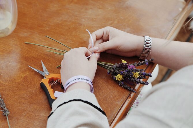 Guided Lavender Experience: Cultivation, Uses and Tasting - Cosmetics and what you might buy on site