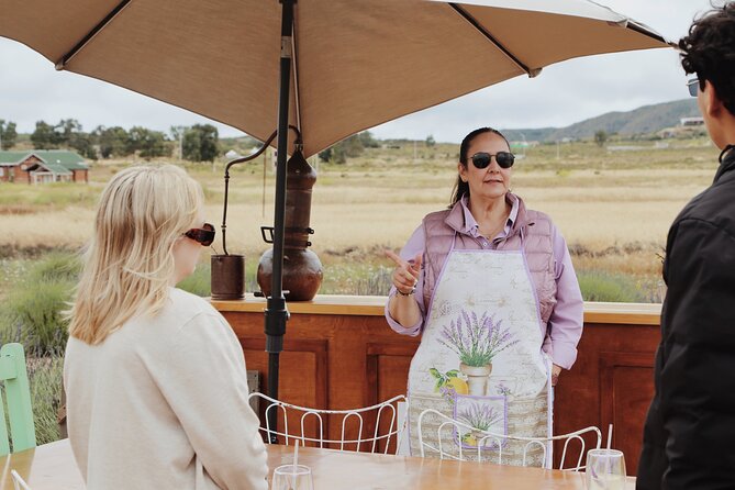 Guided Lavender Experience: Cultivation, Uses and Tasting - Harvest time: scissors, basket, and your bouquet and sachet