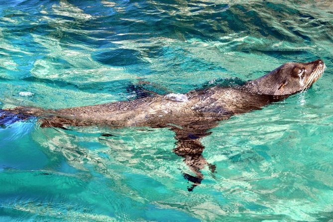 Guided Tour Los Cabos: Boat | Tacos & Tequila | Photos & Transfer - The photo and mobile content moment (and why it’s actually useful)