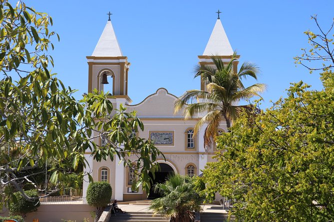 Guided Tour Los Cabos: Boat | Tacos & Tequila | Photos & Transfer - San José del Cabo downtown and Art District time for your own pace