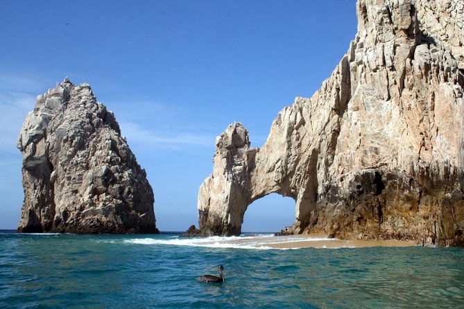 Guided Tour Los Cabos: Boat | Tacos & Tequila | Photos & Transfer - Pickup and small-group comfort in an A/C luxury van