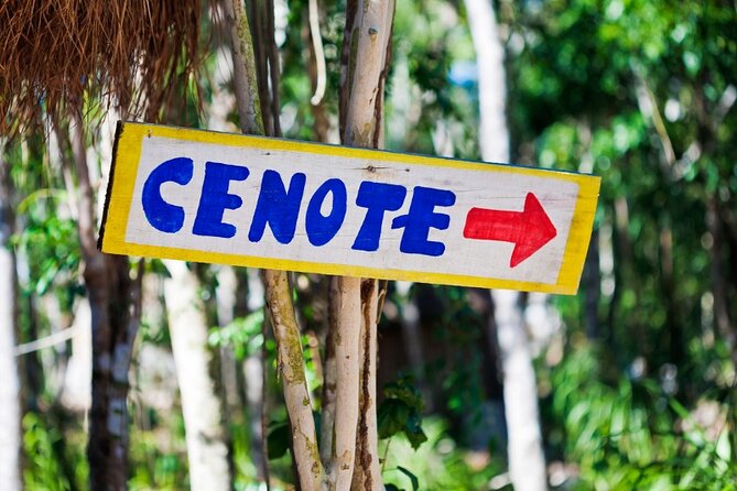 Guided Tour to Chichen Itza Cenote and Valladolid - Valladolid Break: Colonial Square, San Gervasio, and Marquesitas