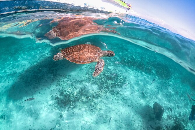 Half Day Akumal Beach Swim and Snorkel with Turtles Experience - The Beach Part After Snorkeling: Snacks, Drinks, and What to Do With 2 Hours