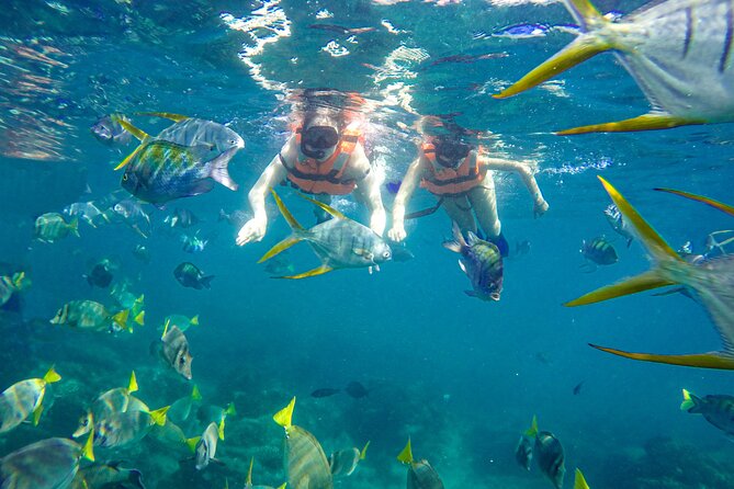 Half Day Cabo Snorkel Adventure with Lunch and Open Bar - Lunch and Open Bar on Deck: Food Timing That Actually Works