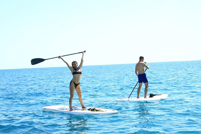 Half Day Cabo Snorkel Adventure with Lunch and Open Bar - How the Crew Runs the Day: Safety, Group Flow, and Good Vibes