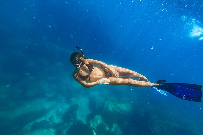 Half Day Cabo Snorkel Adventure with Lunch and Open Bar - Cabo San Lucas Arch and Sea Lion Colony: The Classic Stops That Make It Feel Like Cabo