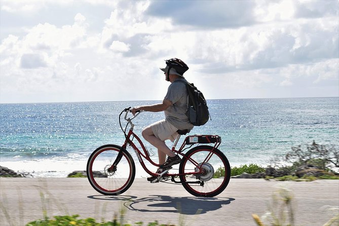 Half-Day Electric Bike Tour of Cozumel's East Side With Lunch - Check-In at Beach Bum Cozumel, Then Off to the East Shore