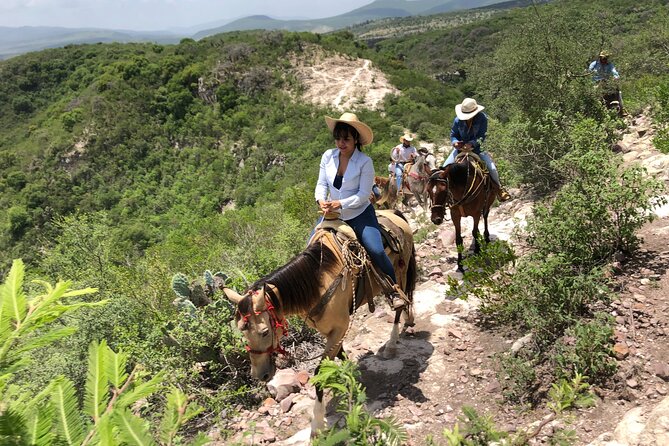 Half Day Excursion - Horseback Riding Adventure in SMA - Getting picked up and heading to the high plateau