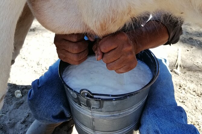 Half Day Excursion - Horseback Riding Adventure in SMA - Safety and photo moments, plus those little “we’ve got you” details