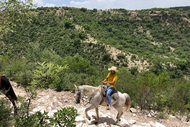 Half Day Excursion - Horseback Riding Adventure in SMA - Ranch meal and drinks at the finish line