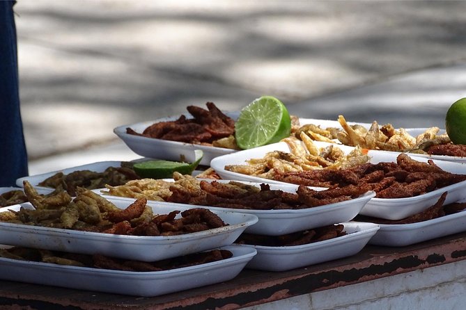 Half-Day Guided Tour of Lake Chapala from Guadalajara - Lake Chapala on foot: views, markets, and charales