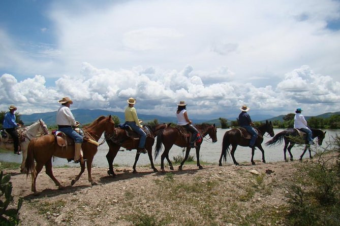 Half-Day Horseback Riding Adventure - Price and Value: Is $160 Worth It?