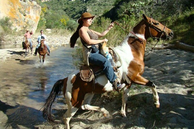 Half-Day Horseback Riding Adventure - Who Should Book, and Who Might Want an Alternative