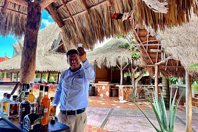 Half-Day Island Tour with Mayan Experience & Beach Break - A Half-Day Route That Actually Fits Cruise Time