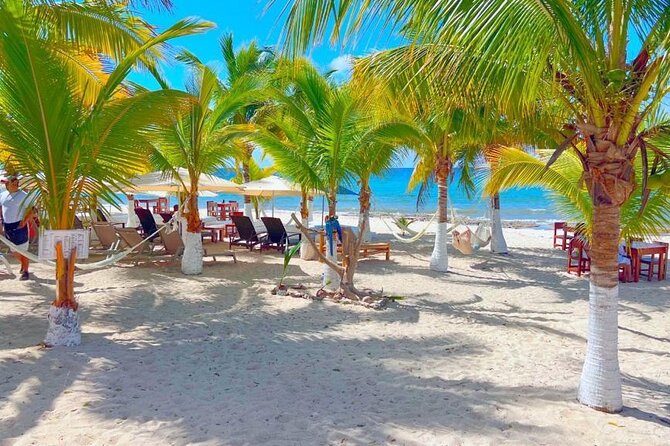 Half-Day Island Tour with Mayan Experience & Beach Break - Downtown Cozumel Walk and the Centennial Clock