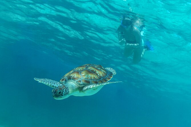 Half-Day Luxury Sailing Experience in Tulum with Open Bar - Crew Energy: Friendly Guides With Real Ownership