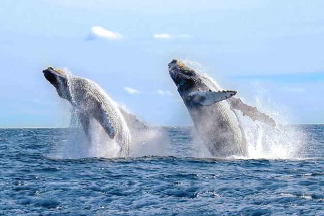 Half Day Private Sailing Cruise Puerto Vallarta with Snorkeling - Mismaloya: relaxed swimming and paddleboarding when the water cooperates