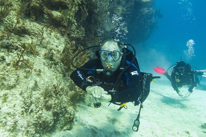 Half-Day Scuba Diving in Playa del Carmen for Small-Group - What happens on the boat and underwater, and what you might see