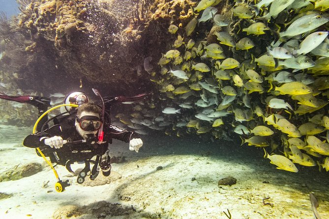 Half-Day Scuba Diving in Playa del Carmen for Small-Group - Where to meet, how to get there, and what to pack