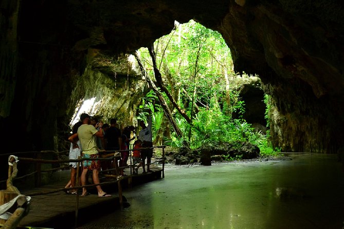 Half-Day Sea Turtle and Cenote Snorkeling Tour from Cancun & Riviera Maya - Turtles in Akumal Bay, Then Caves in Yax-Muul