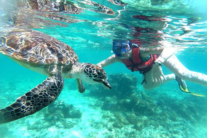 Half-Day Sea Turtle and Cenote Snorkeling Tour from Cancun & Riviera Maya - Stop 2 at Parque de Cenotes Yax-Muul: Cave Walk and Freshwater Swim