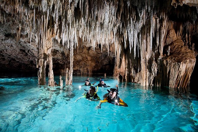 Half-Day Sea Turtle and Cenote Snorkeling Tour from Cancun & Riviera Maya - What You Actually Get for $99, Plus the Fees That Show Up