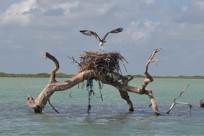 Half-Day Tour Discovering Sian Ka´an with Lunch - Stop 1: The Reserve Stretch and Why That First Hour Matters