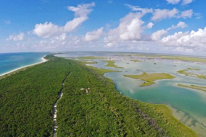 Half-Day Tour Discovering Sian Ka´an with Lunch - Snorkeling the Reef: Great When Calm, Frustrating When Wind Wins