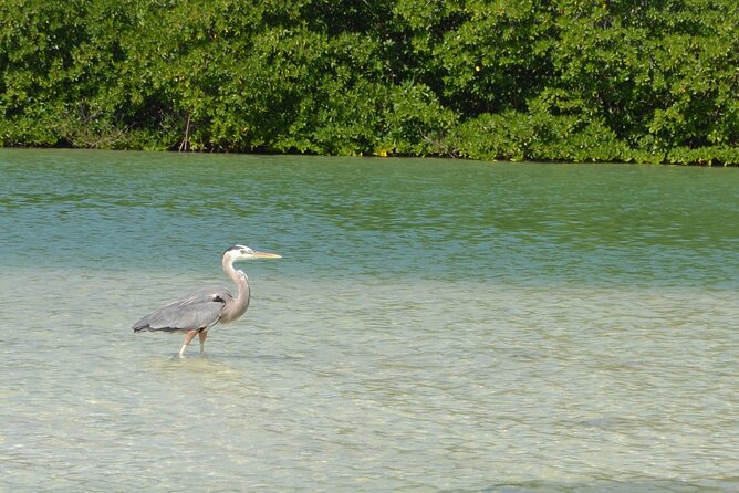 Half-Day Tour Discovering Sian Ka´an with Lunch - Price and Value: Is $204 Worth It?