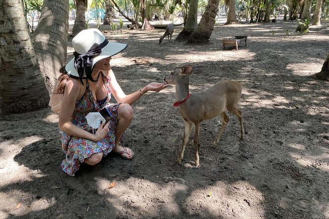 Half-Day Tour to Ventanilla, Mazunte, Zipolite and Puerto Angel - Key Highlights You’ll Actually Notice