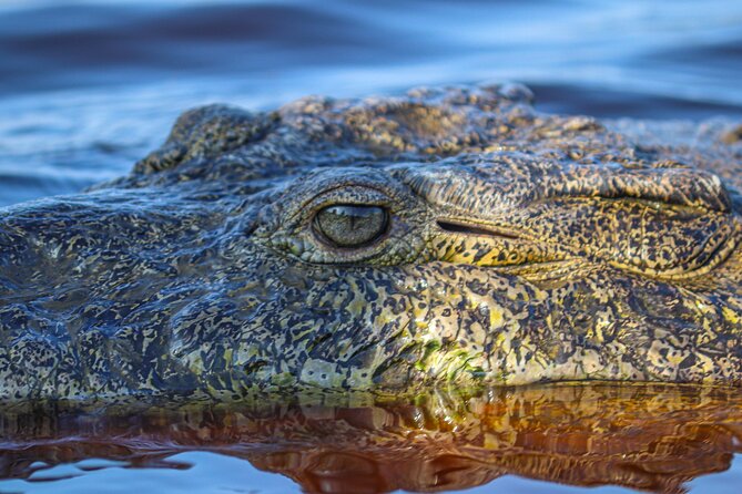 Half-Day Tour to Ventanilla, Mazunte, Zipolite and Puerto Angel - La Ventanilla And Laguna Ventanilla: Mangroves, Crocodiles, and Deer Conservation