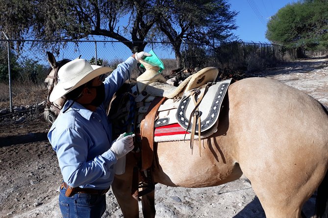 Half Day Trail Riding in San Miguel de Allende - Entering San Miguel on Horseback, Not in a Hurry