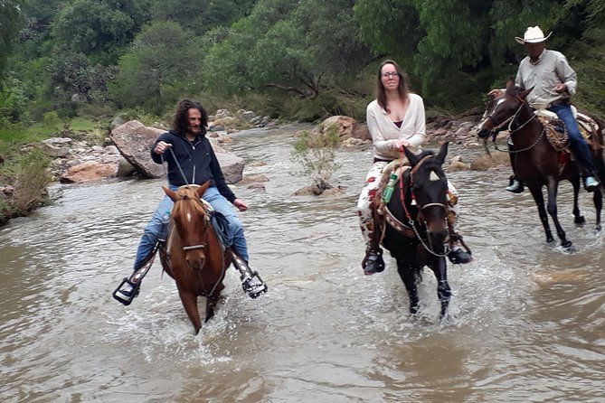 Half Day Trail Riding in San Miguel de Allende - Meet the Team: Guides, Caballeros, and Real Safety Focus
