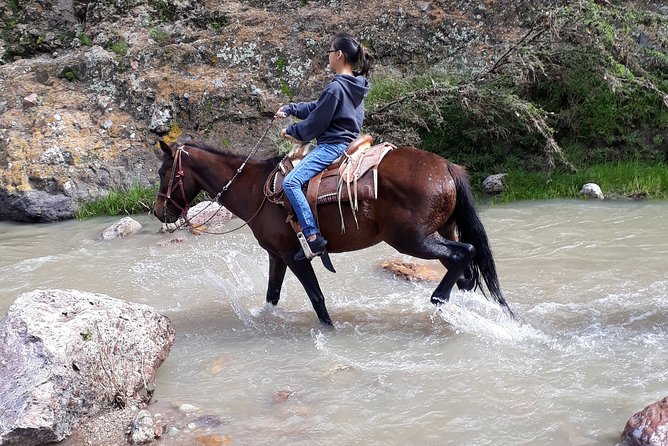 Half Day Trail Riding in San Miguel de Allende - What to Wear, Carry, and Ask Yourself Before Booking