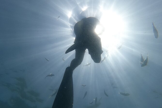 Hidden Beach Snorkeling Adventure - From the Romantic Zone to Boca de Tomatlán: the ride that starts the day