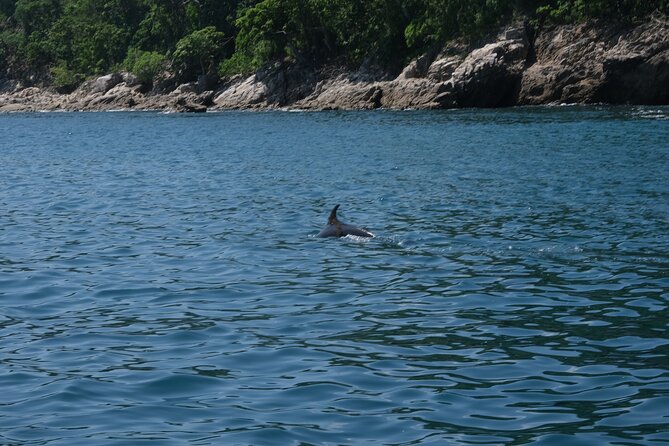Hidden Beach Snorkeling Adventure - Safety and comfort: gear, guidance, and boat step reality