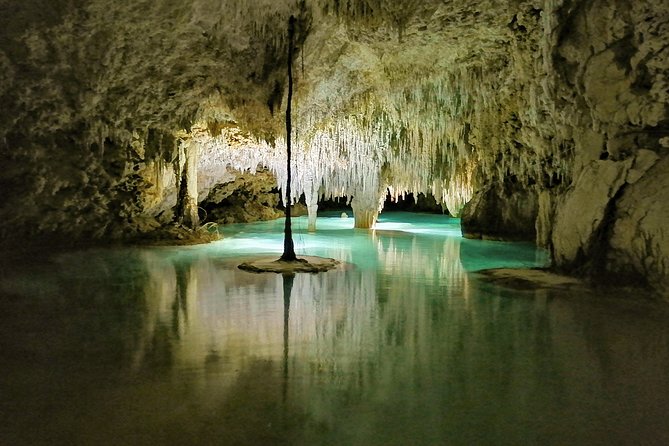 Hidden Cenote exploration in Playa del Carmen - What a hidden cenote experience really looks like near Playa del Carmen